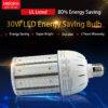 LED Corn Light - Image 7